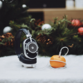 Thumbnail for version as of 15:00, 21 December 2022